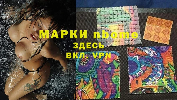 хмурый Бородино