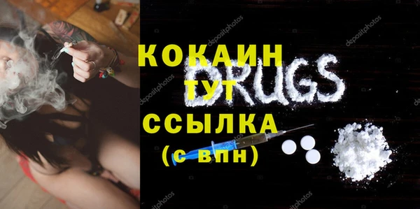 хмурый Бородино