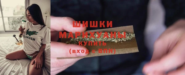 хмурый Бородино