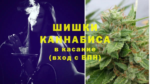 хмурый Бородино