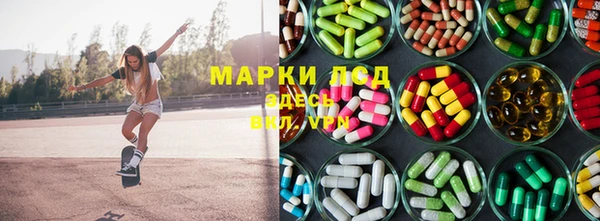 хмурый Бородино