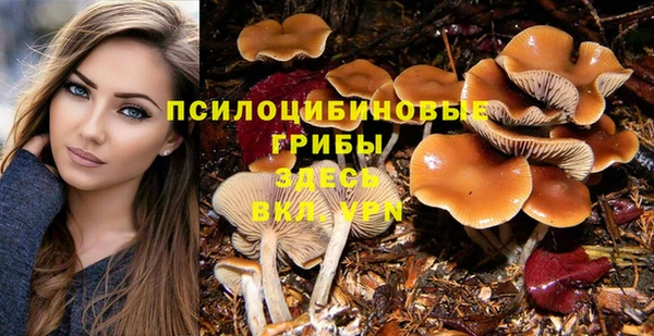 хмурый Бородино