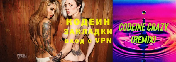 хмурый Бородино