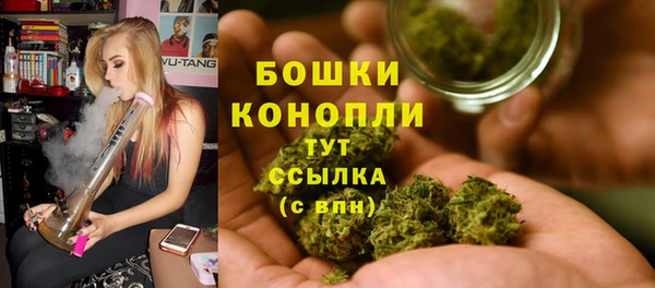 хмурый Бородино