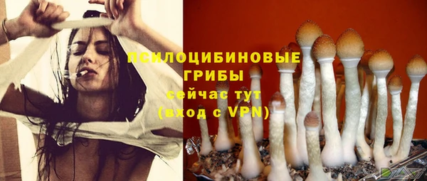 сатива Бугульма